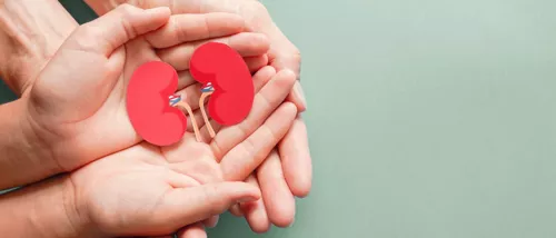 Journée européenne du don d'organe et de la greffe