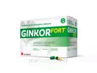 GINKOR FORT Gélules Plq/60