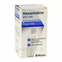 HEXAMIDINE MYLAN 1 POUR MILLE S appl loc Fl/250ml